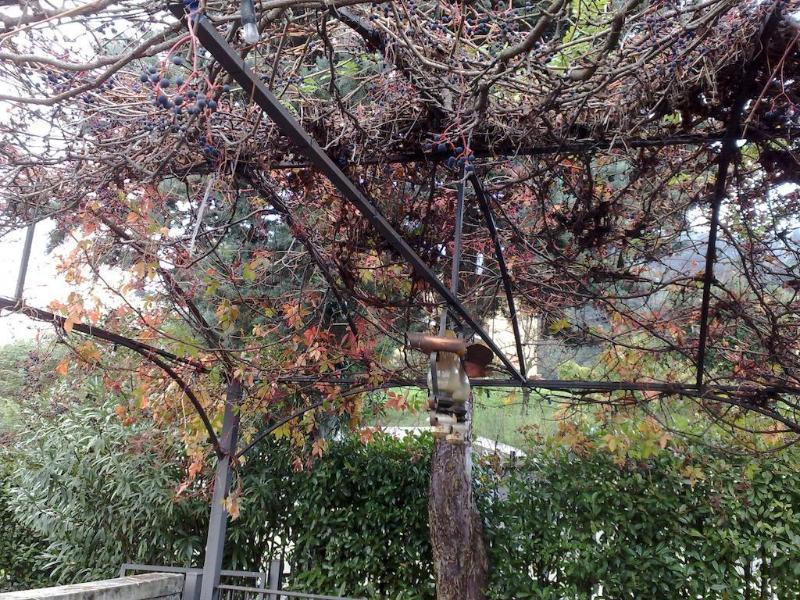 Villa Soleil Colleretto Giacosa エクステリア 写真